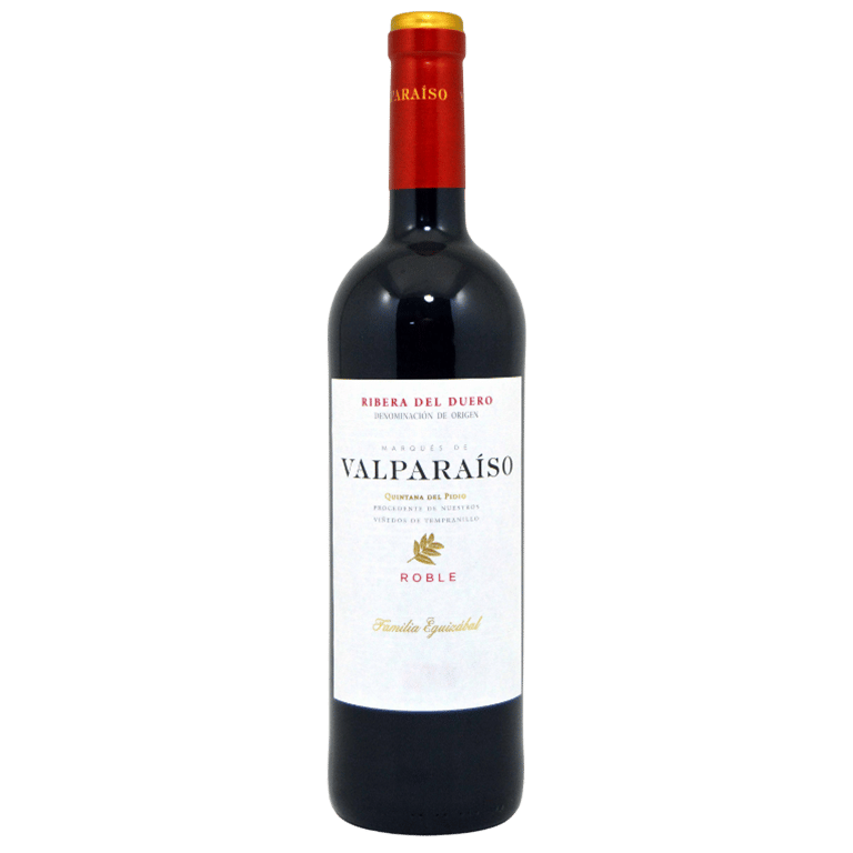 Botella vino tinto Valparaiso Roble